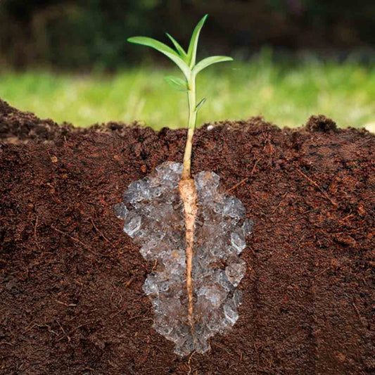 Cómo utilizar hidroretenedores en tus plantas