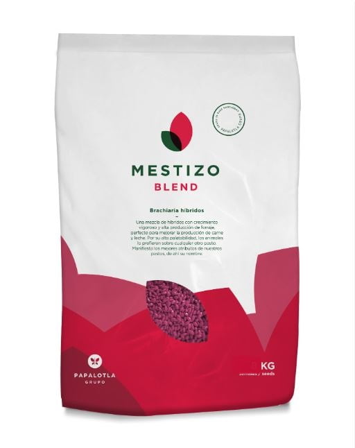 Brachiaria Mestizo Blend x 2 kilos