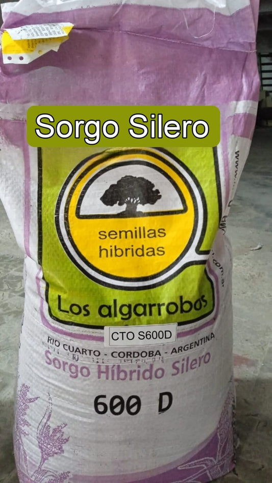 Sorgo híbrido Silero 600D X 10 KILOS